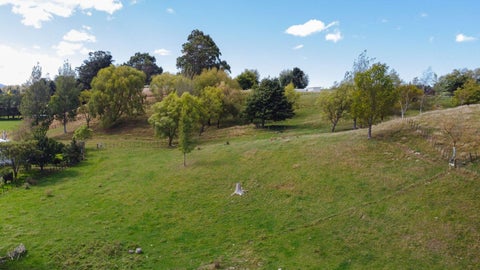 134 Tipapakuku Road, Dannevirke, Dannevirke
