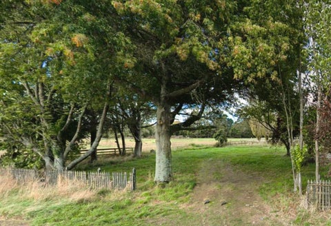 3794 Broadlands Road, Reporoa