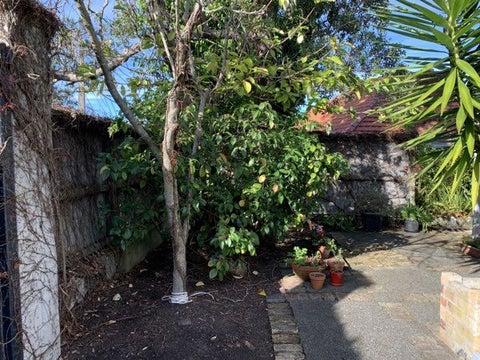 3/23 Ayr Street, Parnell, Auckland