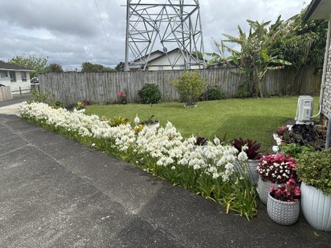 8 Carey Place, Otara, Auckland