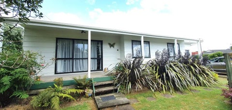 22 Douglas Street, Levin, Levin