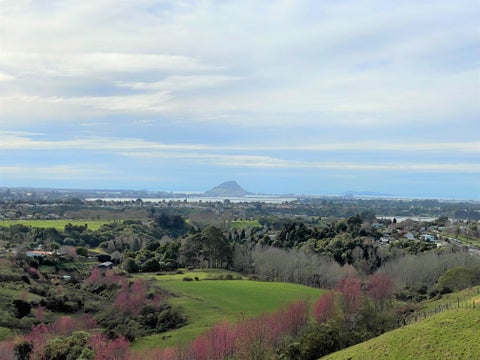 10 Blackberry Way, Welcome Bay, Tauranga
