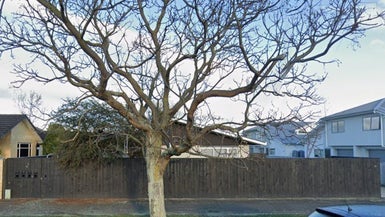 18B Martin Street, Palmerston North, Palmerston North