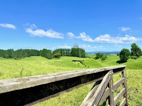 0 Rangiuru Road, Otaki, Otaki