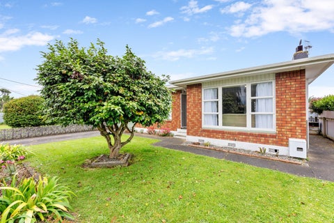 4 Rata Street, Levin, Levin