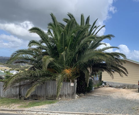 3 Te Ahu Place, Karikari Peninsula, Karikari Peninsula
