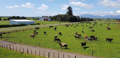 396 Cape Road, Opunake