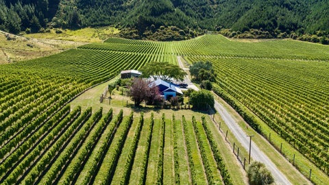1224 Kaituna-Tuamarina, KAITUNA, RENWICK