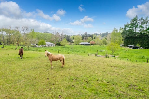 140H Tebbutt Road, Lower Kaimai, Lower Kaimai