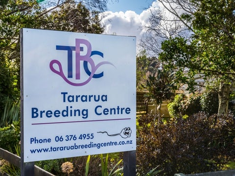 80541 Masterton Road, Woodville, Woodville