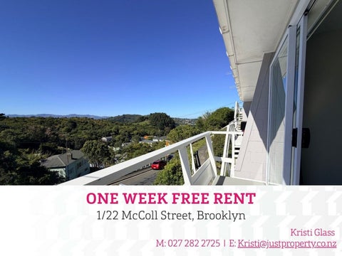 1/22 Mccoll Street, Vogeltown, Wellington