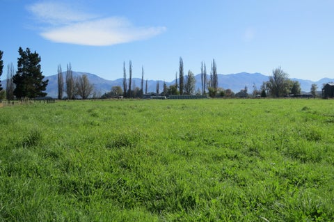 141 Nixons Road, Fairlie, Fairlie