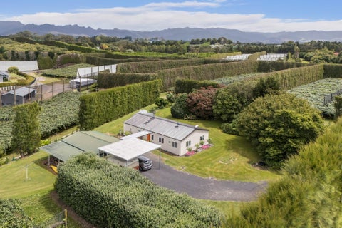 81 Lockington Road, Aongatete, Katikati