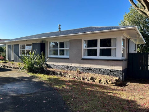 96 Elliot Street, Pahurehure, Papakura