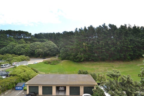 568E Adelaide Road, Berhampore, Wellington