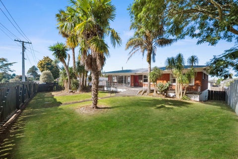 3 Halberg Street, Papakura, Papakura