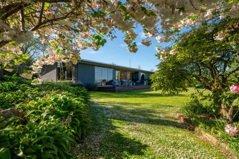 159 Downs Road, Geraldine Downs, Geraldine