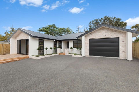 19A Dudley Street, Levin, Levin