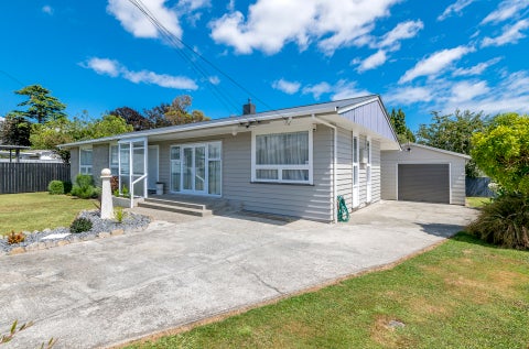 25 Green Avenue, Levin, Levin