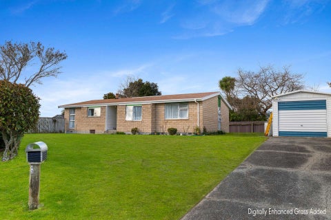 43 Morgan Crescent, Levin, Levin