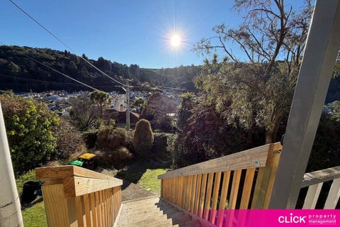 20 Gillespie Street, North East Valley, Dunedin