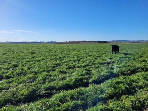 0 School Rd, Kakanui, Oamaru