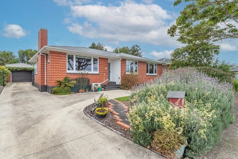 40 GRAHAM ST, Levin, Levin