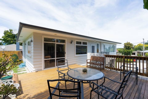 25 MacArthur Street, Levin, Levin