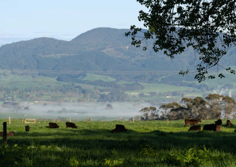 0 Deep Creek Road