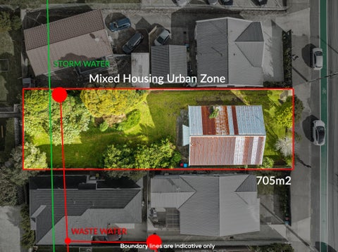 118 Carrington Road, Mount Albert, Auckland