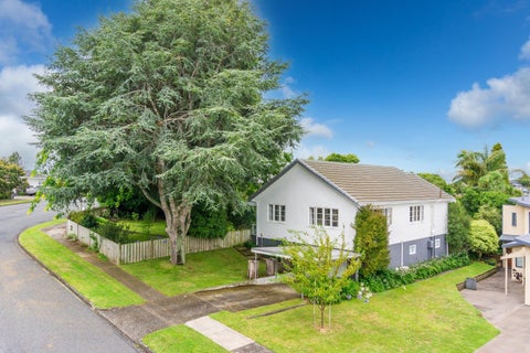 337 Wallace Terrace, Te Awamutu, Te Awamutu