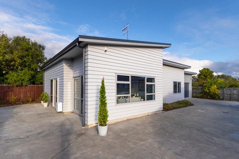 14A Princes Street, Levin, Levin