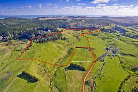 93 Twin Springs Drive, Helensville, Helensville