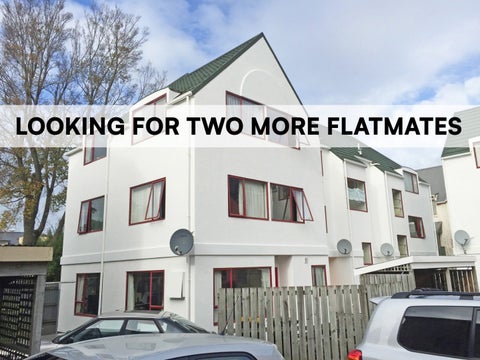 17/783 Great King Street, North Dunedin, Dunedin