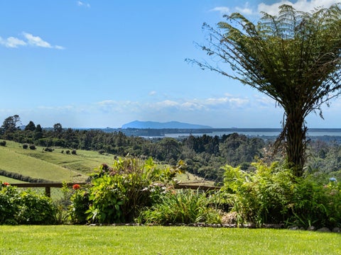 424A Hot Springs Road, Tahawai, Katikati