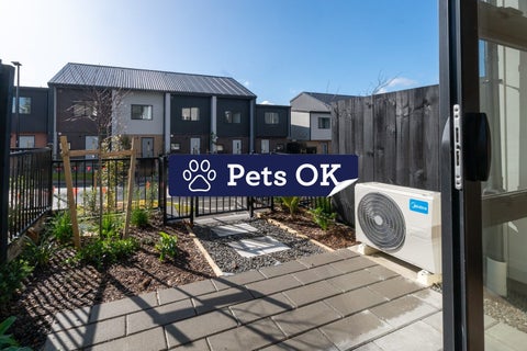 5 Jabuka Street, Glen Eden, Auckland