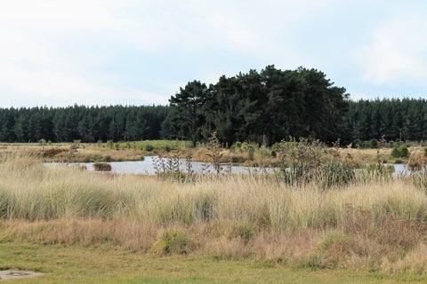 62 Te Kohanga DR, Pegasus, Pegasus