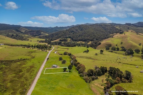 142 Te Punga Road, Whangapoua, Coromandel