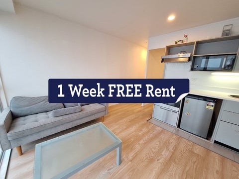 8M/147 Hobson Street, Auckland Central, Auckland