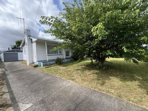 12 Mersey Street, Levin, Levin