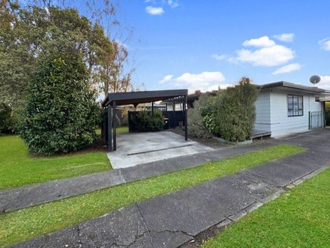 53 College Street, Awapuni, Palmerston North