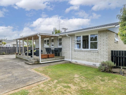 38 Parsons Avenue, Levin, Levin