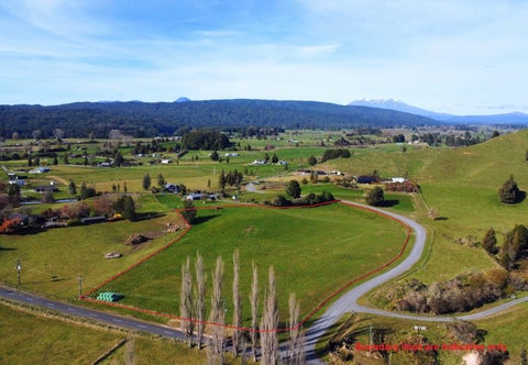 17 Riley Place, Owhango