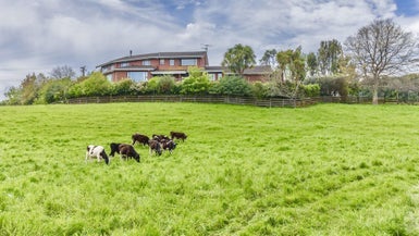 82 Ringawhati Road, Otaki