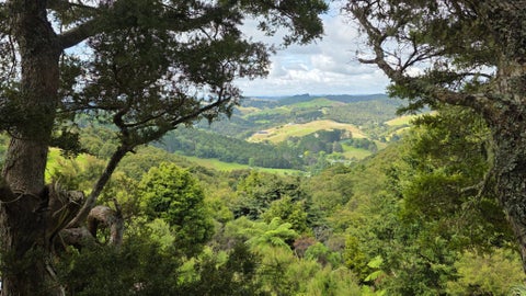 180 Noakes Hill Road, Silverdale