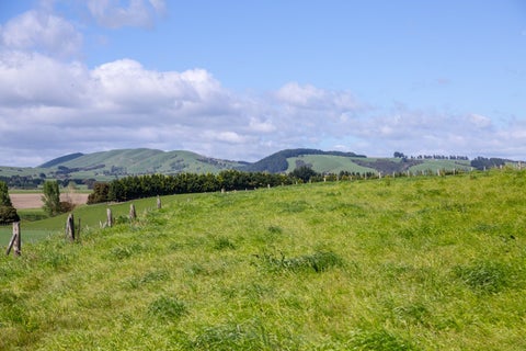 216B Ahiaruhe Road, Ahiaruhe, Carterton