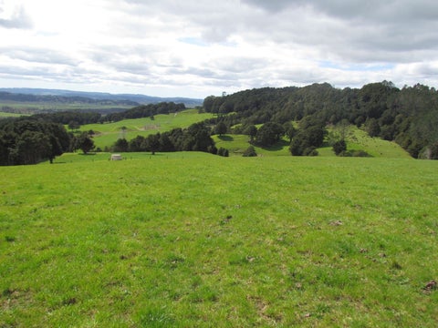 0 Tremain Road, Ruatangata West, Kamo