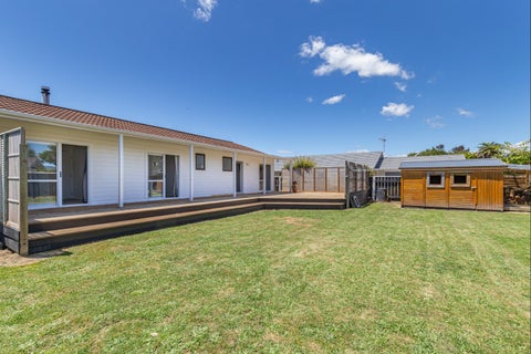 8 Homewood Avenue, Levin, Levin