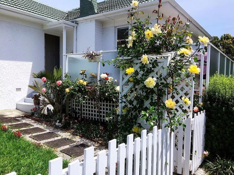 1/189 Lake Road, Belmont, Auckland