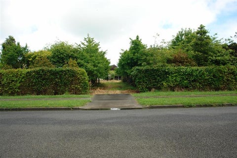 29 Chester Street, Waverley, Waverley